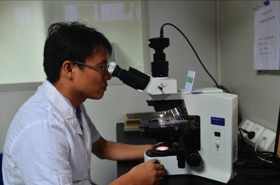 電子顯微形貌觀(guān)察與測(cè)量