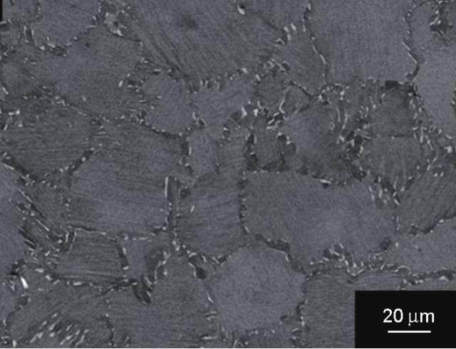 金屬間化合物觀(guān)察與測(cè)量